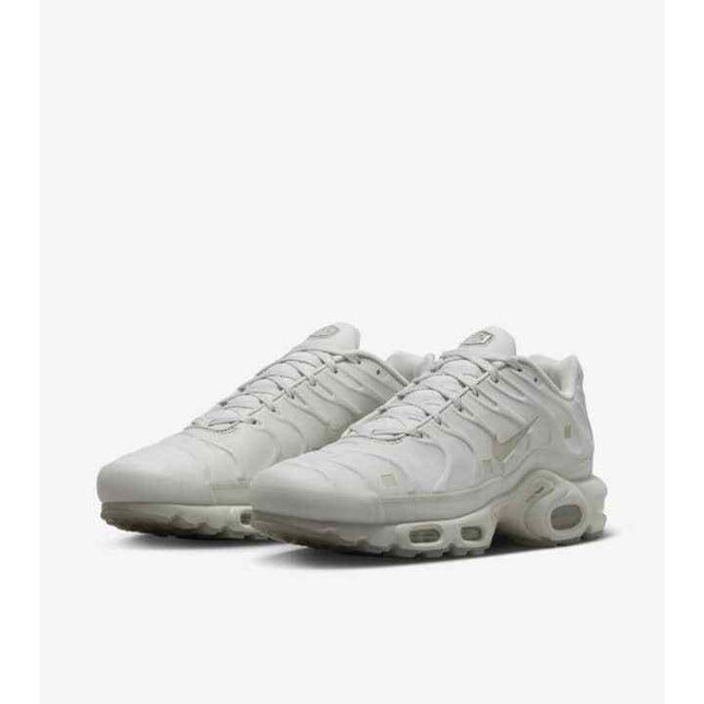 FD7855-002 A-COLD-WALL* Nike Air Max Plus Stone (Men's)