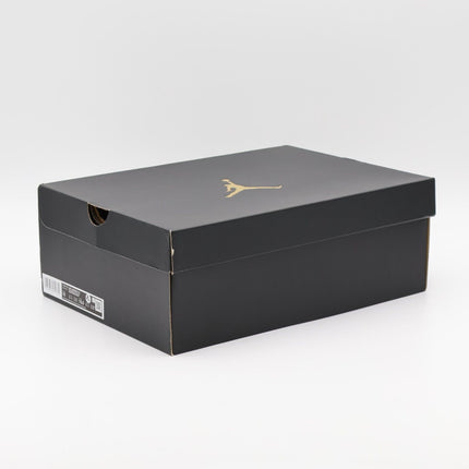 FJ5934-001 Nike Air Jordan 9 Golf Cool Grey (Men's)