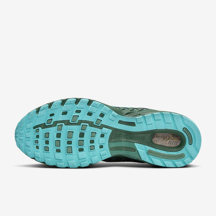 FZ7354-300 Nike Air Pegasus 2K5 Fir Bicoastal Dusty Cactus (Men's)