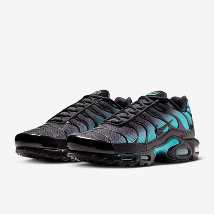 DM0032-016 Nike Air Max Plus Black Aurora Green (Men's)