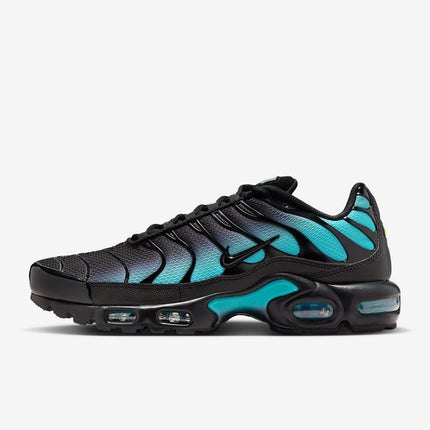 DM0032-016 Nike Air Max Plus Black Aurora Green (Men's)