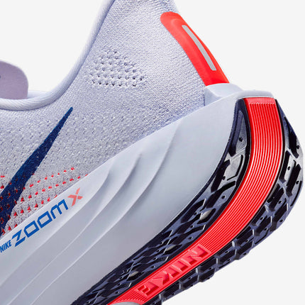 FQ7262-006 Nike Pegasus Plus Ghost Blue Void Bright Crimson Blue Void (Men's)