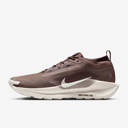 HQ7494-200 Nike Pegasus Trail 5 GORE-TEX SP Mink Brown Moon Particle (Men's)