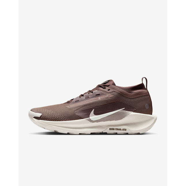 HQ7494-200 Nike Pegasus Trail 5 GORE-TEX SP Mink Brown Moon Particle (Men's)