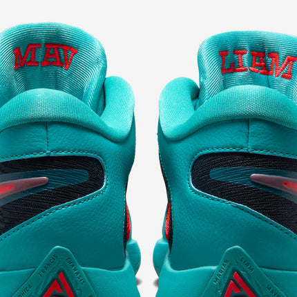 FJ7807-300 Nike Giannis Freak 6 Dusty Cactus Bright Crimson Obsidian (Men's)