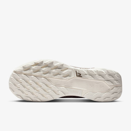 HQ7494-200 Nike Pegasus Trail 5 GORE-TEX SP Mink Brown Moon Particle (Men's)