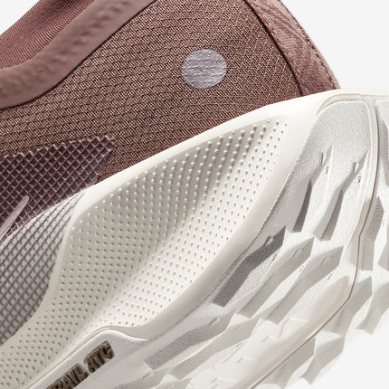 HQ7494-200 Nike Pegasus Trail 5 GORE-TEX SP Mink Brown Moon Particle (Men's)