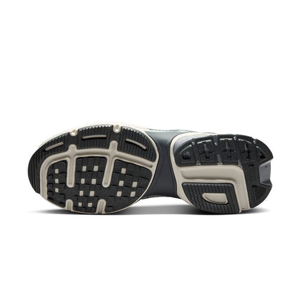 FD0736-003 Nike V2K Run Pure Platinum Wolf Gray Cool Gray Metallic  (Women's)