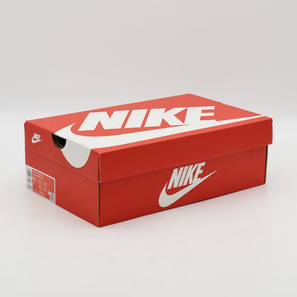 IF1619-100 Nike Air Max 90 Leopard (Women's)