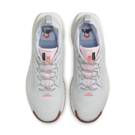 FQ0908-009 Nike Pegasus Trail 5 GORE-TEX Waterproof Trail Running Shoes (Men's)