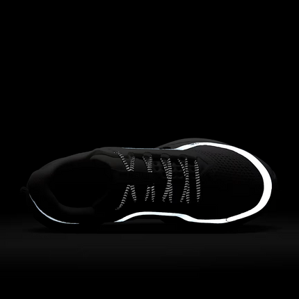 HQ2593-102 Nike Pegasus Premium White Metallic Silver Metallic Silver (Women's)