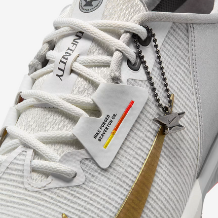 HV4159-100 Nike Infinity Tour 2 Summit White Metallic Silver Iron Grey (Men's)