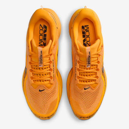 IH3256-700 Nike Pegasus PRM Modern Mayfly (Men's)