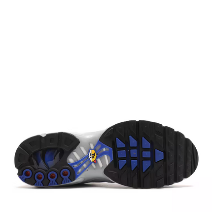 IH4459-025 Nike Air Max Plus Wolf Grey Racer Blue (Men's)