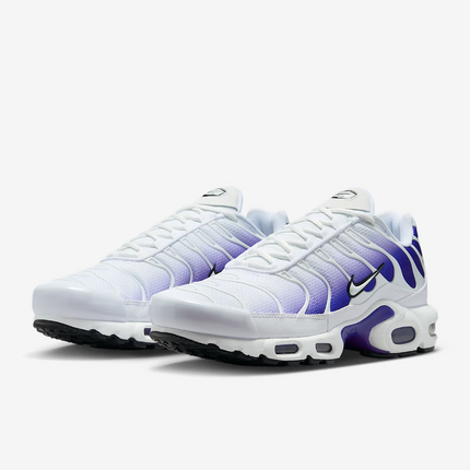 DM0032-105 Nike Air Max Plus Wild Grape (Men's)