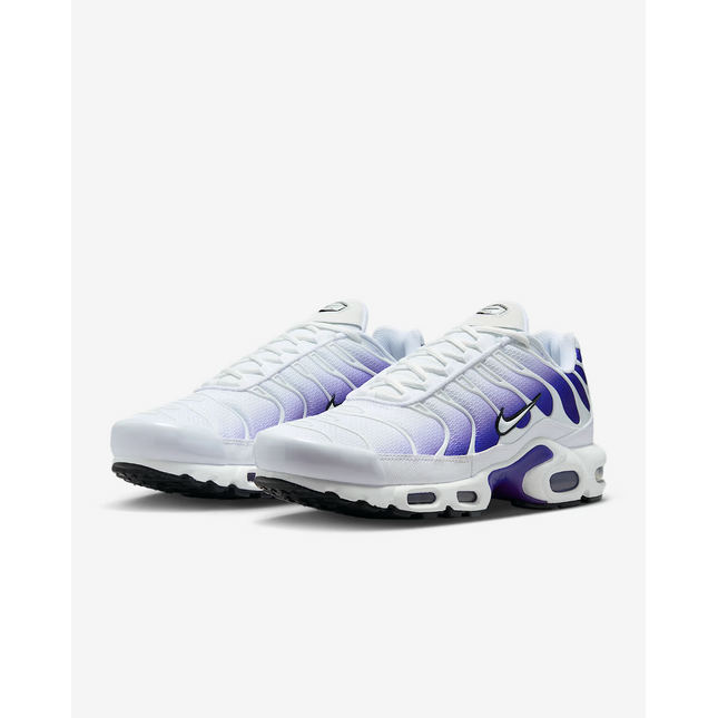 DM0032-105 Nike Air Max Plus Wild Grape (Men's)