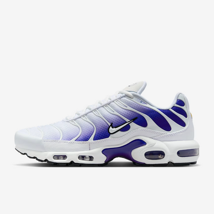DM0032-105 Nike Air Max Plus Wild Grape (Men's)