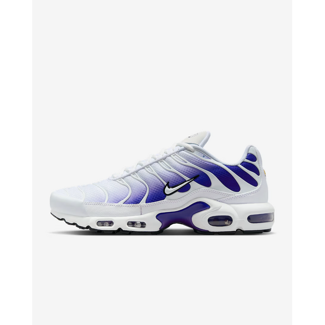 DM0032-105 Nike Air Max Plus Wild Grape (Men's)
