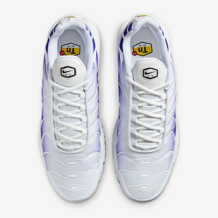 DM0032-105 Nike Air Max Plus Wild Grape (Men's)