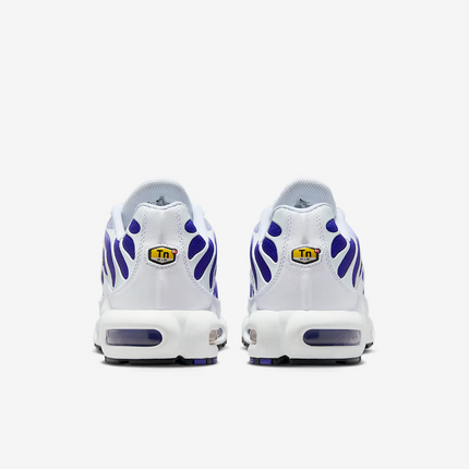 DM0032-105 Nike Air Max Plus Wild Grape (Men's)