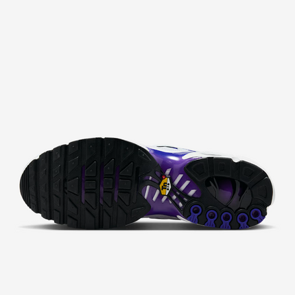 DM0032-105 Nike Air Max Plus Wild Grape (Men's)