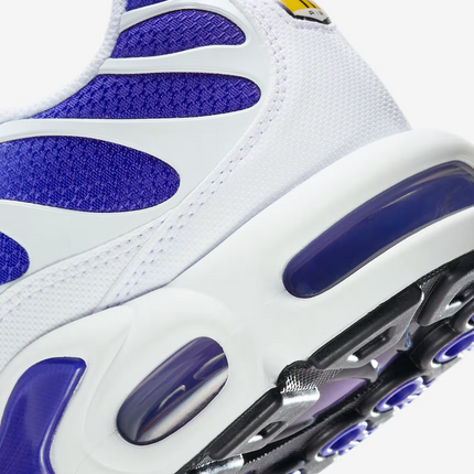 DM0032-105 Nike Air Max Plus Wild Grape (Men's)
