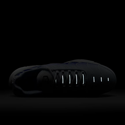 DM0032-105 Nike Air Max Plus Wild Grape (Men's)