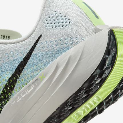 FQ7261-006 Nike Pegasus Plus Road Running Shoes Platinum Tint (Women’s)