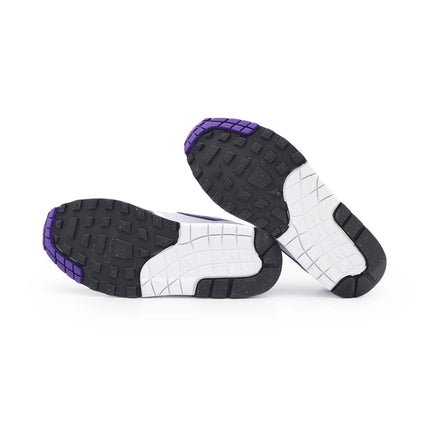 DZ4549-101 Nike Air Max 1 Field Purple (Men's)