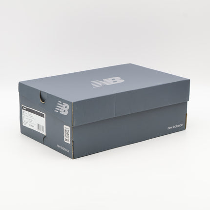 M1906DH New Balance 1906R Protection Pack Metallic Silver (Men's)