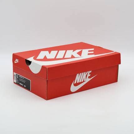 HM8818-001 Nike Air Max TL 2.5 Flat Silver Metallic Silver (Men's)