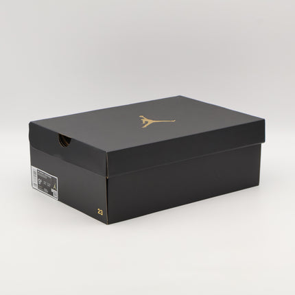 DM1206-153 Nike Air Jordan 1 Low EasyOn Latte (Men's)