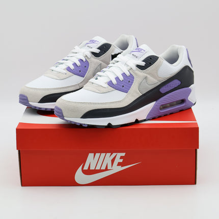 DM0029-114 Nike Air Max 90 Dusty Amethyst Photon Dust Light Smoke Grey (Men's)