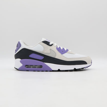 DM0029-114 Nike Air Max 90 Dusty Amethyst Photon Dust Light Smoke Grey (Men's)