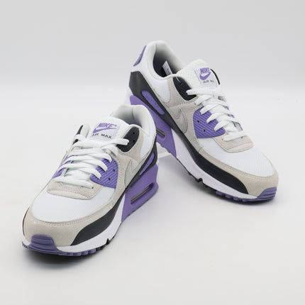 DM0029-114 Nike Air Max 90 Dusty Amethyst Photon Dust Light Smoke Grey (Men's)
