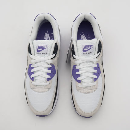 DM0029-114 Nike Air Max 90 Dusty Amethyst Photon Dust Light Smoke Grey (Men's)