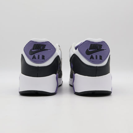 DM0029-114 Nike Air Max 90 Dusty Amethyst Photon Dust Light Smoke Grey (Men's)