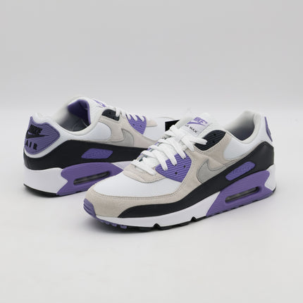 DM0029-114 Nike Air Max 90 Dusty Amethyst Photon Dust Light Smoke Grey (Men's)