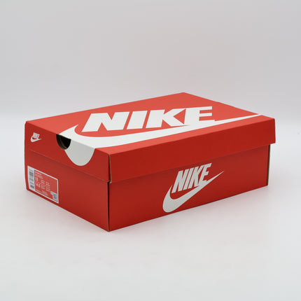 DM0029-114 Nike Air Max 90 Dusty Amethyst Photon Dust Light Smoke Grey (Men's)