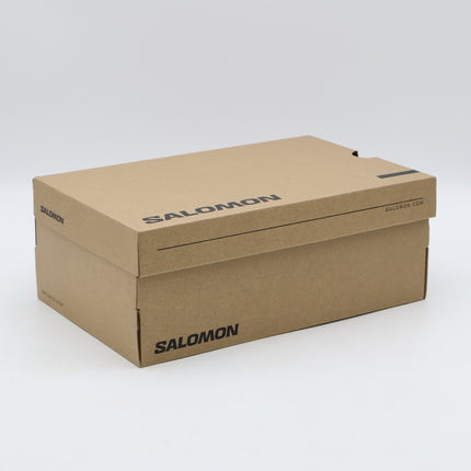 L47581000 Salomon XT-6 GORE-TEX Antelope (Men's)