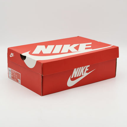 FD0873-126 Nike Dunk Low SE Sanddrift Hemp Sail Beige (Women's)