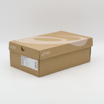 1203A930-020 KITH Ronnie Fieg × Asics Gel-Kayano 12.1 Tornado Pure Silver(Men's)