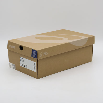 1203A544-100 Asics GT-2160 White Putty (Men's)