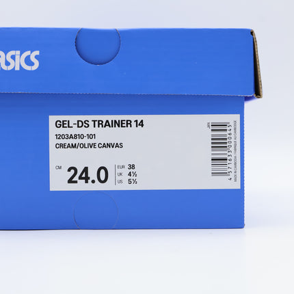 1203A810-101 Temptation Vacation �~ Asics Gel-DS Trainer 14 Cream  (Men's)