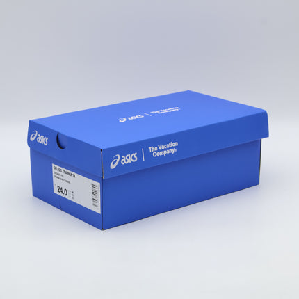 1203A810-101 Temptation Vacation �~ Asics Gel-DS Trainer 14 Cream  (Men's)