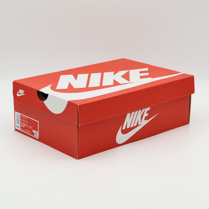 DD1171-001 Nike Air Flight 89 Rayguns (Men's)