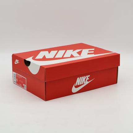 DV0833-110 Nike Dunk Low Retro Bright Cactus (Men's)