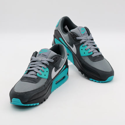 DM0029-013 Nike Air Max 90 Cool Grey Wolf Grey Dusty Cactus (Men's)