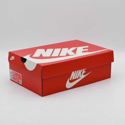 DM0029-013 Nike Air Max 90 Cool Grey Wolf Grey Dusty Cactus (Men's)