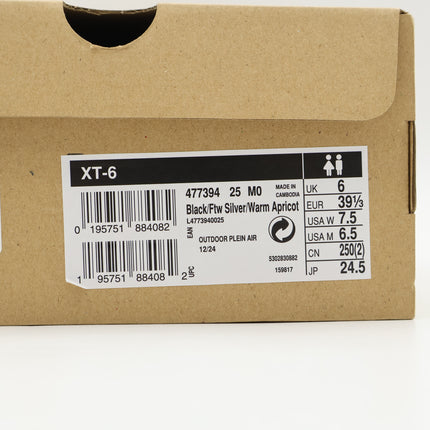 L47739400 Salomon XT-6 Black Silver (Men's)